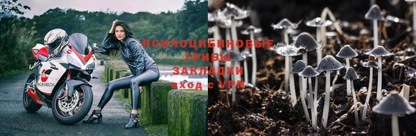 mdpv Заволжск