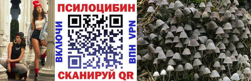 Галлюциногенные грибы Psilocybine cubensis  где купить наркоту  Лыткарино 