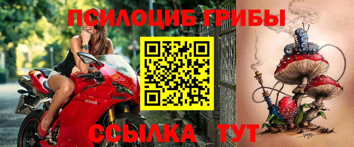 Псилоцибиновые грибы MAGIC MUSHROOMS Лыткарино