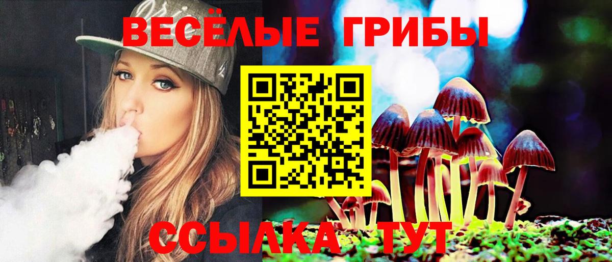 Псилоцибиновые грибы Psilocybine cubensis  Вход с VPN  хочу наркоту  Лыткарино 