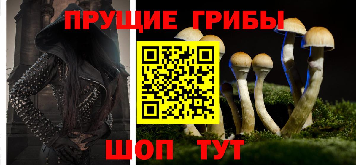 Галлюциногенные грибы Psilocybe Лыткарино