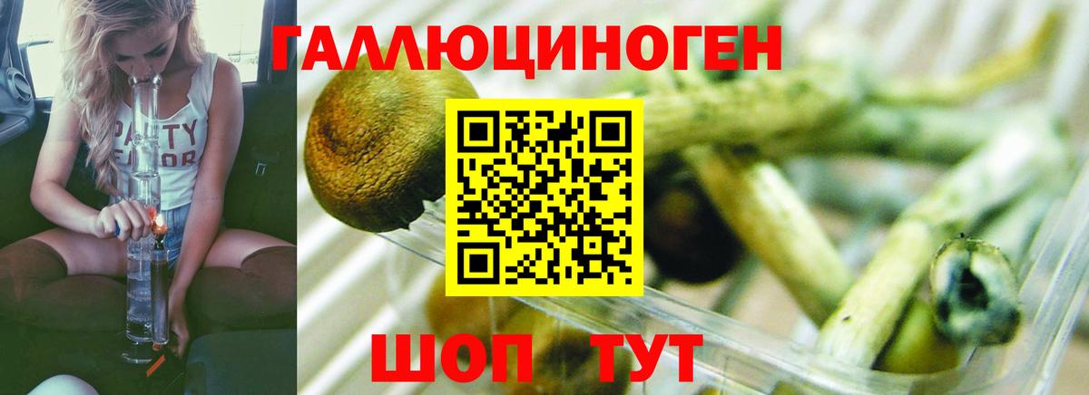 Лыткарино  Мефедрон  Вход с VPN  Меф  Гарик  Конопля 